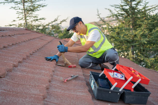 Best Roof Repair Specialists  in Vaiden, MS