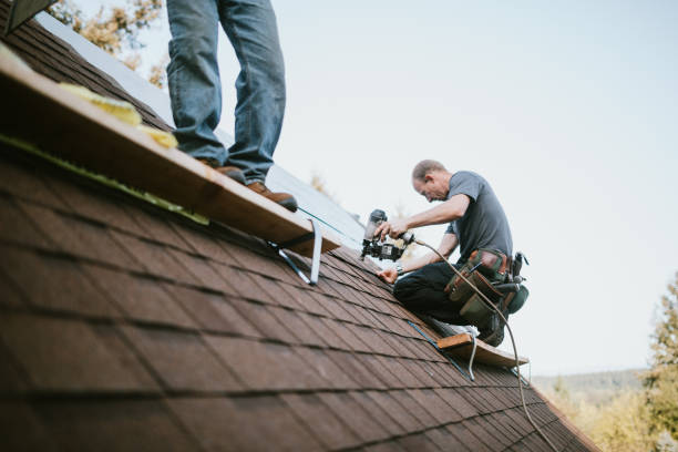 Best Roof Gutter Cleaning  in Vaiden, MS